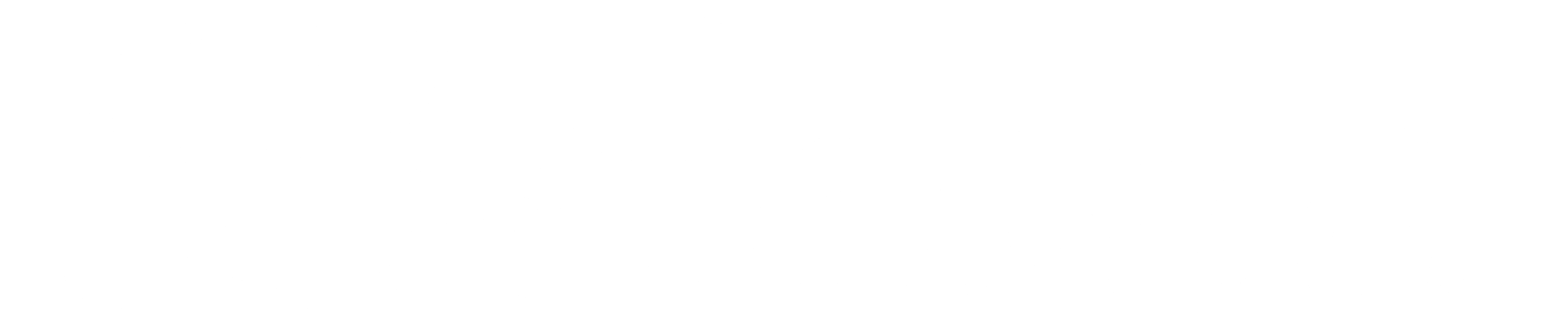 belessia logo