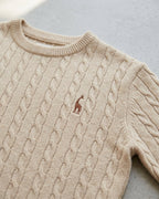 Wool Cable Knit Sweater Men